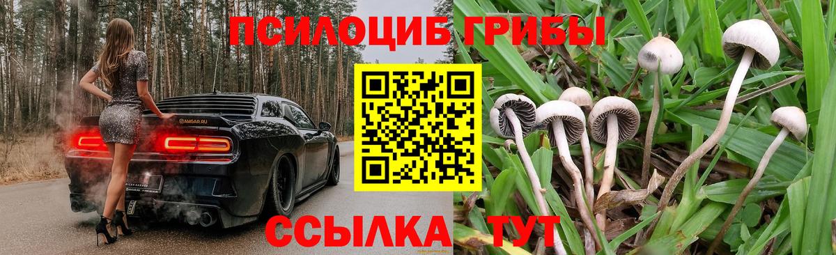 Краснознаменск  Псилоцибиновые грибы мицелий  Вход с VPN 